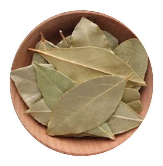 Indian Bay Leaf